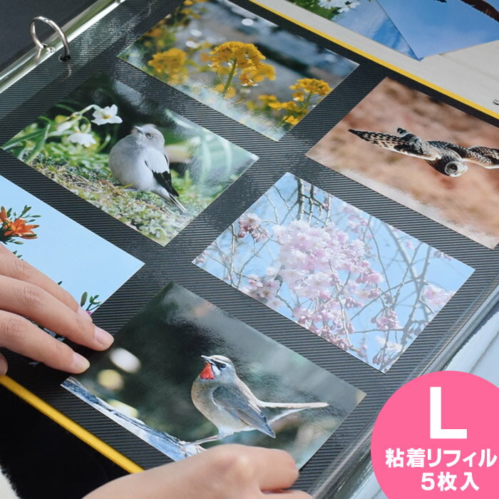＼楽天1位／ PDフォトアルバム 【Lサイズ用 粘着リフィル5枚入り】 リング式フォトアルバム 粘着台紙 リフィル 手作り アルバム 写真 黒台紙 DELFONICS デルフォニクス デルフォニックス 新生活