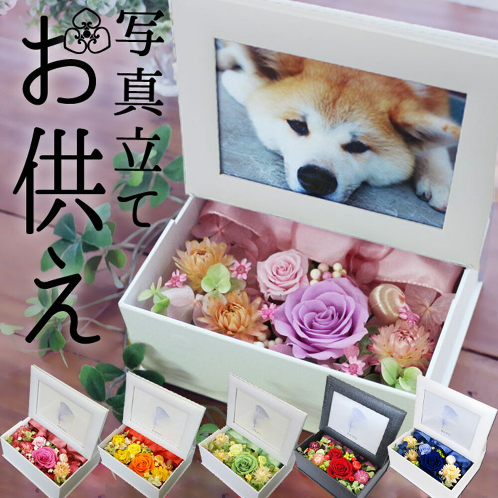 【ポイント5倍】 翌日配達 プリザーブドフラワー写真立て 長持ち ペット 亡くなったら 仏花 写真立て 写真 送料無料 犬 猫 お悔やみ 贈り物 花 ブリザードフラワ- お供え ブリザード メッセージ ネコ ペット用 御供 写真入り フォトフレーム PB