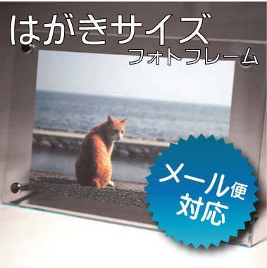 【クーポン配布中】フォトフレーム はがきサイズ アクリル 透明 ガラス色 本体サイズ140×208mm 推奨写真サイズ 100×148mm | シンプル 写真立て ハガキサイズ アクリルフレーム 置き型 吊下げ 国産 日本製 ギフト お返し お祝い プレゼント 成人式 卒園式 記念