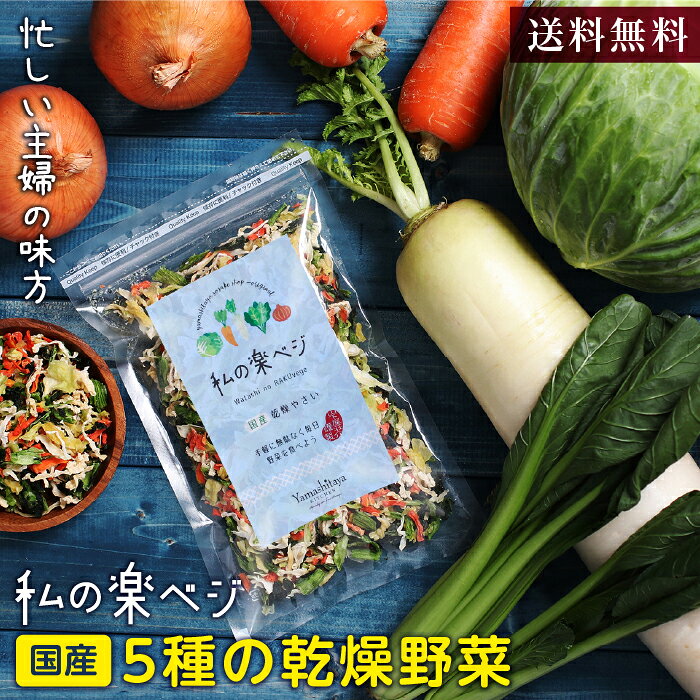 【送料無料】乾燥野菜 国産 私の楽ベジ 100g 5種の国産野菜 ドライ野菜 長期保存 干し野菜 乾燥野菜ミックス ｜ 乾燥大根 乾燥玉ねぎ 乾燥小松菜 乾燥にんじん 乾燥キャベツ みそ汁の具 カット野菜 簡単 時短調理 野菜たっぷり 保存食 非常食 野菜約1kg分 父の日
