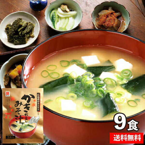 ☆即席かきだし入りみそ汁（計9食入）生みそ　乾燥とうふわかめ付　クロネコゆうパケット　送料無料　味噌汁　みそ汁　かき　牡蠣　味噌　みそ　インスタント　保存食　こうじ　個別包装　1000円　非常食　即席　一人暮らし
