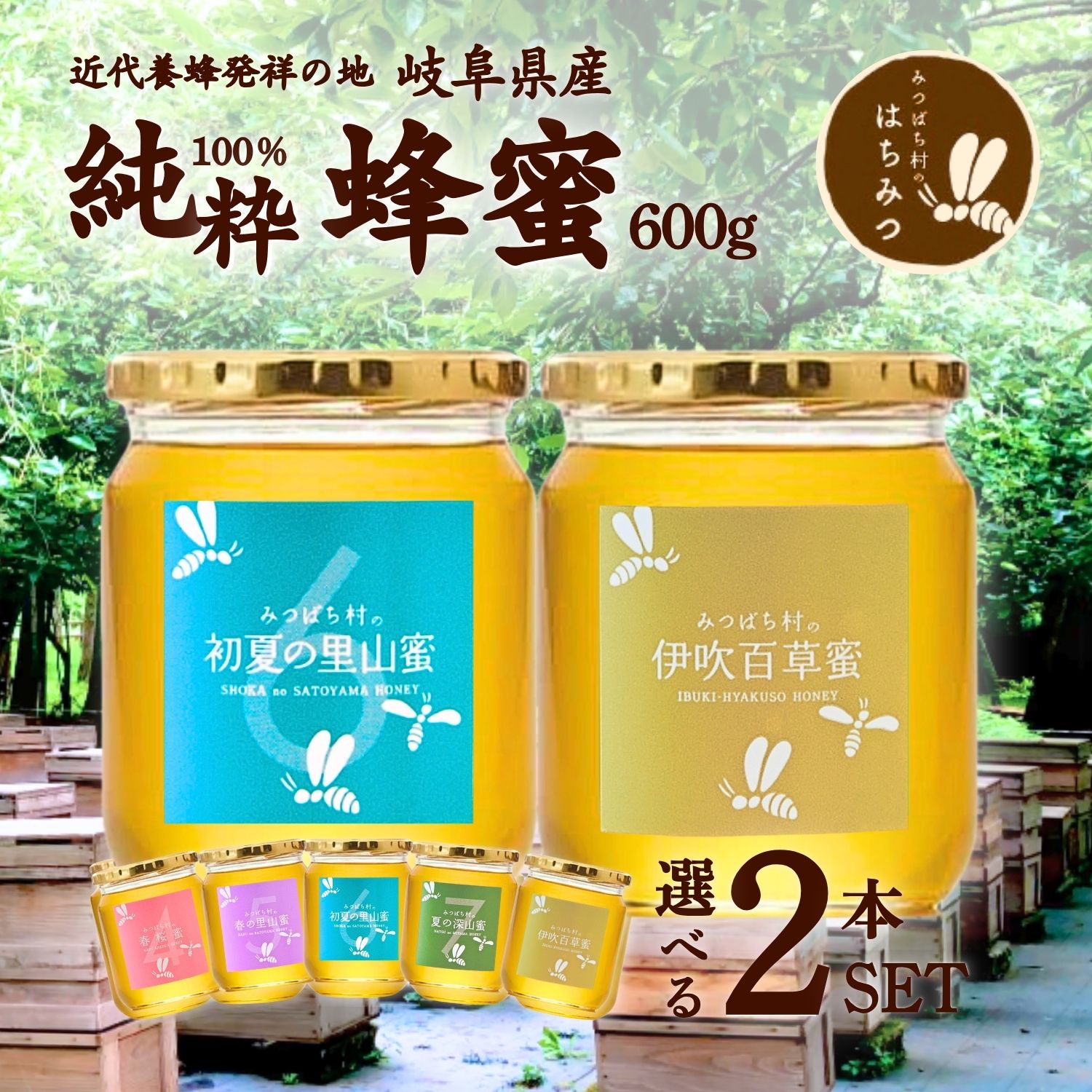 養蜂家から直送！国産 はちみつ 【選べる600g2本セット】 蜂蜜 ハチミツ 非加熱 純粋 完熟 生はちみつ 送料無料 日本製 生産直売 岐阜県産 暑中見舞い 敬老の日 御歳暮 誕生日 ギフト 備蓄 非常食 保存食 春日養蜂場 HONEY ハニー 百花蜜