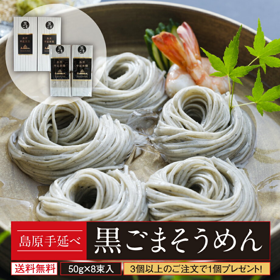 1000円ポッキリ 送料無料 黒ごまそうめん 島原手延べ お試し8束セット 3個購入で1個おまけ 夏ギフト お中元 プレゼント ポイント消化 非常食