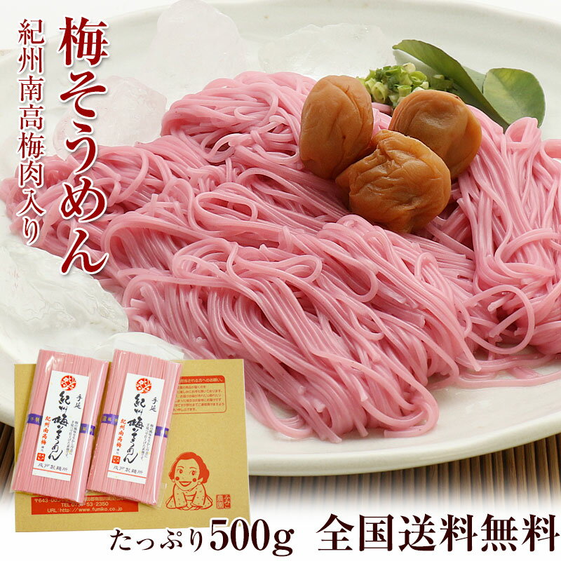 送料無料 手土産 プチギフト 紀州梅そうめん 500g 南高梅使用 紀州和歌山 名物梅干し そうめん 手延べそうめん 素麺 流しそうめん （食品ランキング1位） （総合ランキング1位）※めんつゆは別売りです 常温保存 保存食 非常食