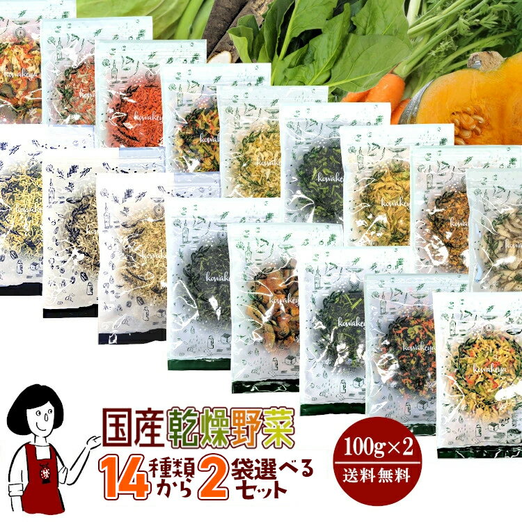 国産 乾燥野菜14種類から2袋(計200g)選べるセット／メール便 送料無料 チャック付 九州産 国産 ボイル済み ドライベジ 保存食 時間短縮 ミックス スープ 小分け こわけや