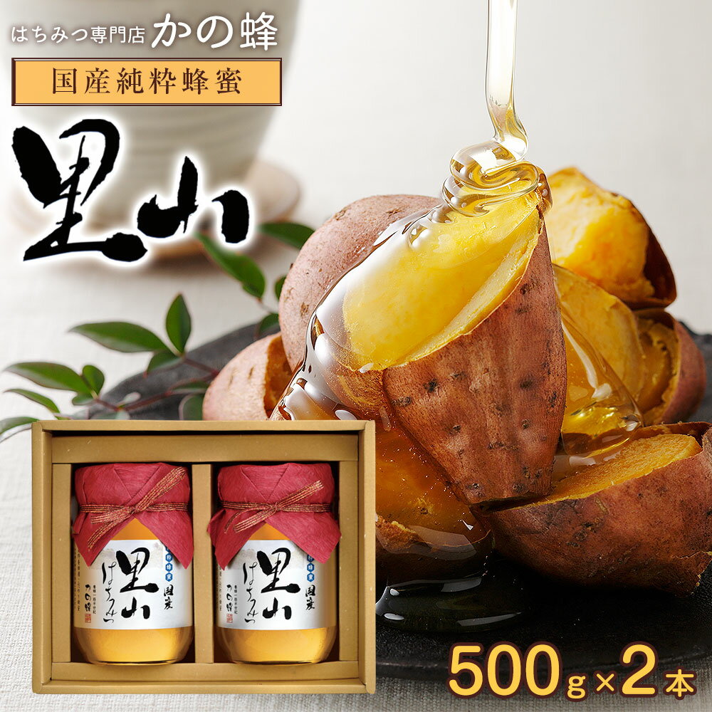 はちみつ 国産 里山はちみつ 500g×2本セット蜂蜜 贈り物 ギフト お取り寄せ グルメ 送料無料 九州産 非加熱 国内製造 プレゼント お返し 無添加 お得 本物の品質 効果効能を感じてください蜂蜜専門店 かの蜂 生はちみつ 非常食 100％純粋 健康