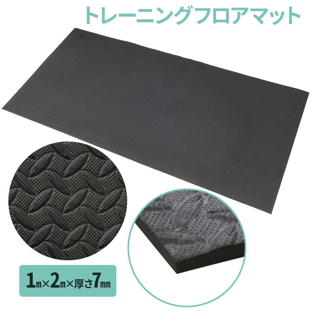 【半額★5％OFF】20日0時～ トレーニングマット スポーツマット 鉄棒 運動 子供 体操マット ジムマット プレイマット エクササイズ フィットネス ダイエット ストレッチ 万能マット 腹筋 体幹 マット 体操 ヨガ ヨガマット トレーニング 下敷き 軽量 防音 大判 送料無料