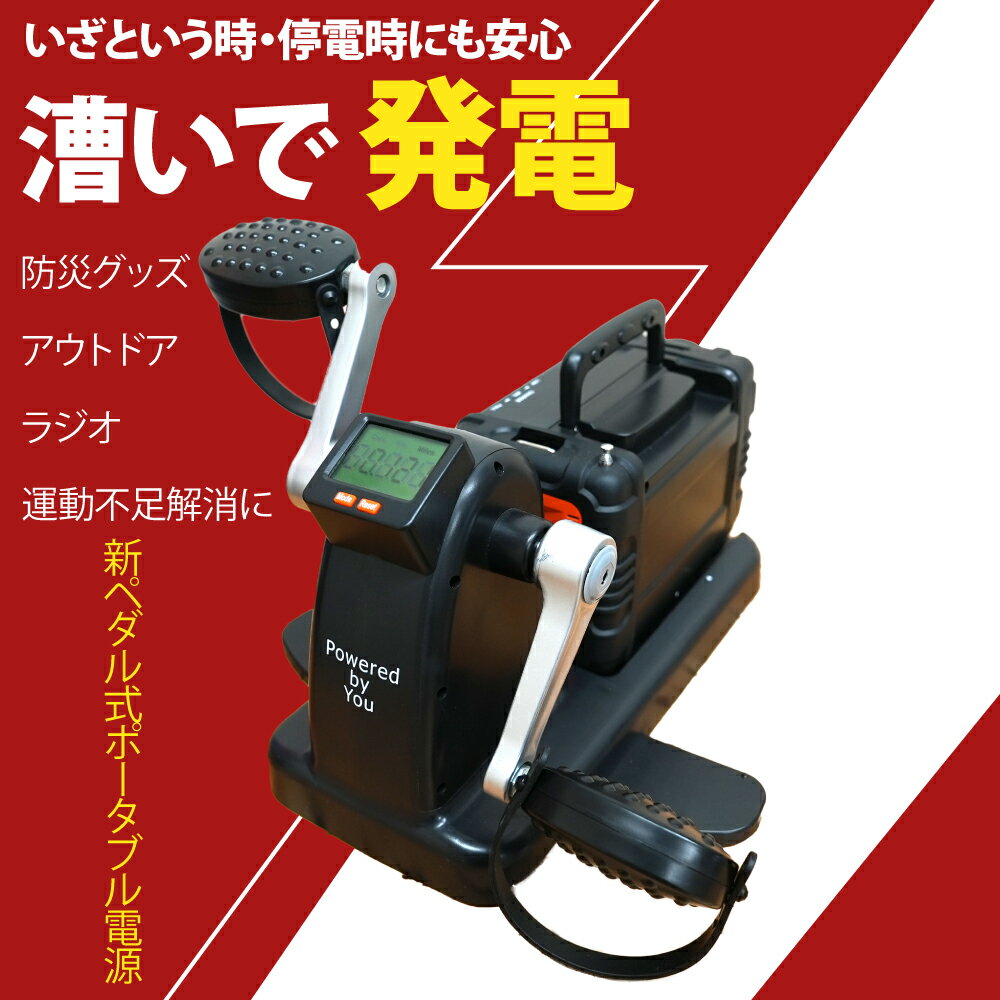 充電丸 PRO ポータブル電源 ラジオ Bluetooth EL-30304 LEDライト AC充電 DC急速充電 ペダル運動 漕いで発電 自家発電 発電機 AC充電可能 車中泊 緊急 非常用 防災グッズ キャンプ アウトドア 運動不足解消 USBポート 小型 軽量 コンパクト 家庭用 エクササイズ