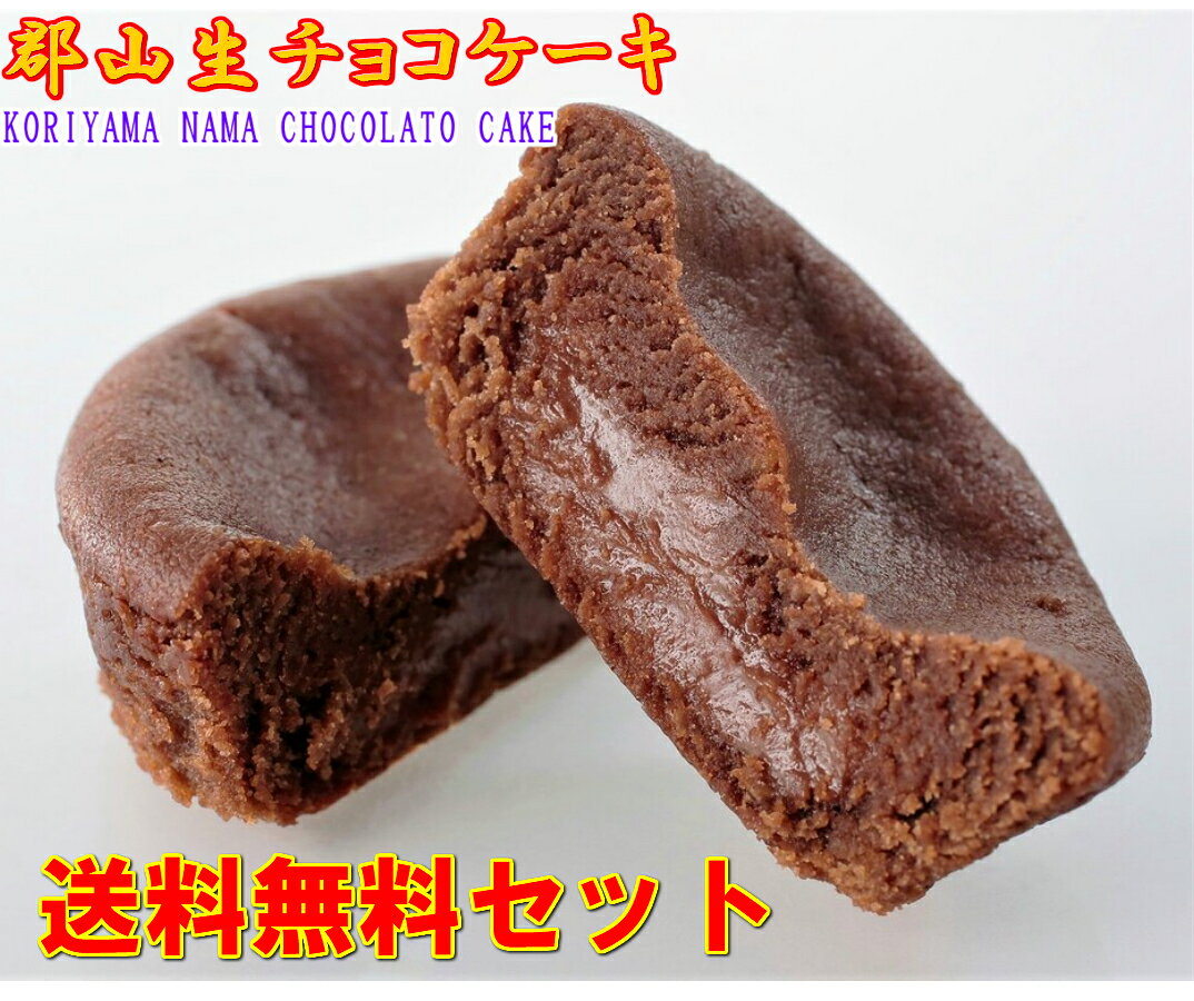 【ポイント5倍/送料無料セット】生チョコケーキ 5個/ バラ入れ お試しセットお菓子 スイーツ ショコラ ガナッシュ チョコレート チョコレートケーキ 個包装 父の日 おすすめ お供え お祝い 人気 老舗 1000円ポッキリ お買い物マラソン お買い回り 郡山 ポイント消化 お土産