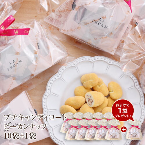 お中元 スイーツ プレゼント プチギフト【WEB限定 送料無料】10袋セット+1袋おまけ プチギフトキャンディコートピーカンナッツチョコレート(48g)/お菓子 贈り物 個包装 ナッツチョコレート ありがとう お世話になりました