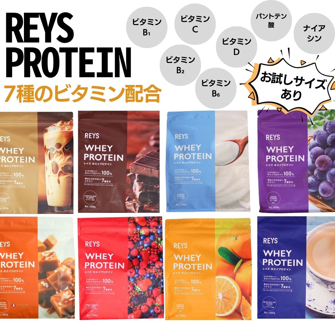 レイズ ホエイ プロテイン 1kg REYS レイズ ソイ プロテイン お試し 30g カフェオレ風味 チョコレート 粉末 山澤 礼明 監修 国内製造 ビタミン7種配合 WPCプロテイン ぷろていん ホエイプロテイン らいず 美味しい 粉 パウダー ダイエット ドリンク 健康 低GI お試し rays