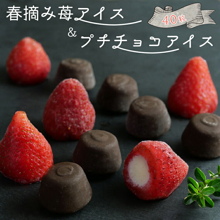 お中元 2026 アイス スイーツ ギフト 2026 いちご アイスクリーム お菓子 アイスギフトセット春摘み苺アイス＆プチチョコアイス 40粒 個包装 御祝い 出産内祝 法人注文 まとめ買い 大量注文 プレゼント のし対応 あす楽