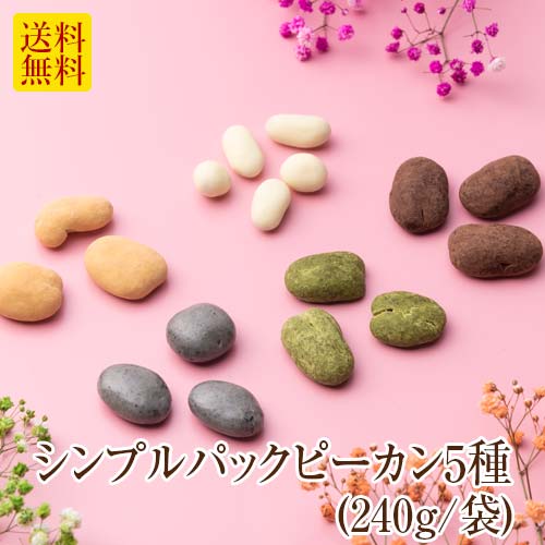 敬老の日 お配り クリスマス食品 プチギフト ブランド お菓子 詰め合わせ お礼 プチギフト 贈り物 高級 スイーツ 個包装 セット ナッツチョコレート【送料無料】シンプルパックピーカン5種(240g/袋)
