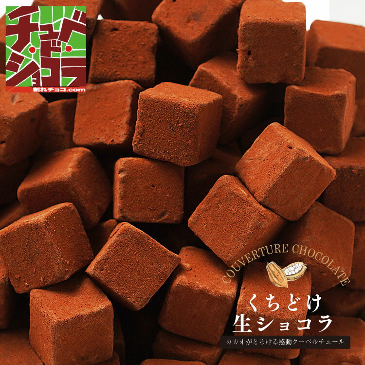 くちどけ生ショコラ 500g 生チョコレート　大容量！ 東京 自由が丘　チュベドショコラ　割れチョコ クーベルチュール　チョコレート 自分チョコ ギフト 贈り物