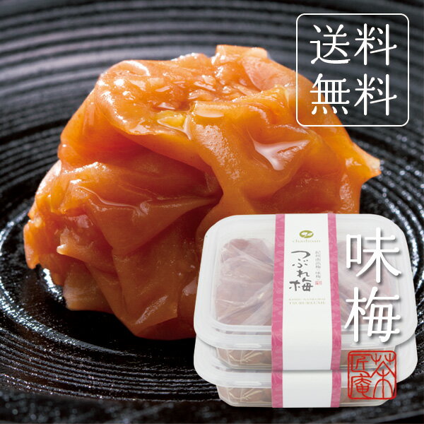 条件達成で全品P最大10倍！ 訳あり つぶれ梅 味梅 450g×2個セット 計900g 梅干し 訳あり 紀州南高梅 送料無料 潰れ 高級 うめぼし 内祝い ご飯のお供 おにぎり ワケあり ご飯のおとも わけあり お土産 和歌山 惣菜 食品 ポイント消化 ギフト