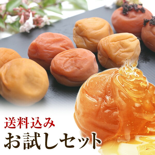 梅干し 選べるお試しセット(40g×4) 食べ比べ 南高梅 減塩 一冨士 紀州南高梅 国産 和歌山県産 梅干 うめぼし 低塩分 ポスト投函 グルメ