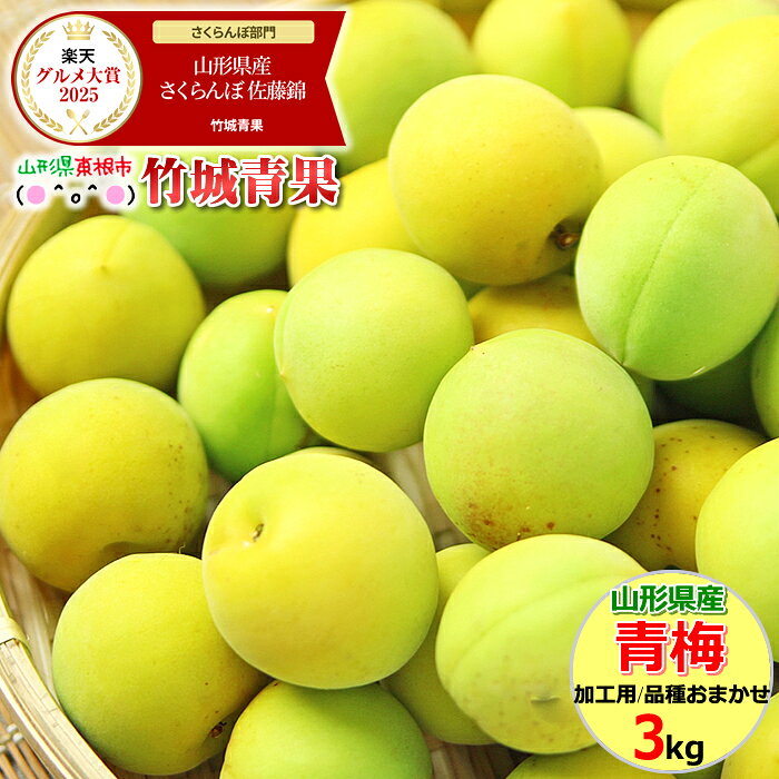 ■クール便【順次出荷中！】山形県産 加工用 青梅 3kg【山形産 青梅 黄梅 生梅 梅 うめ ウメ 梅酒 梅干し 梅ジュース 梅シロップ 梅ジャム 白加賀梅 節田梅 豊後梅 南高梅 産地直送 送料無料 山形県 お取り寄せ 人気 旬 わけあり 訳あり 加工用 手作り】