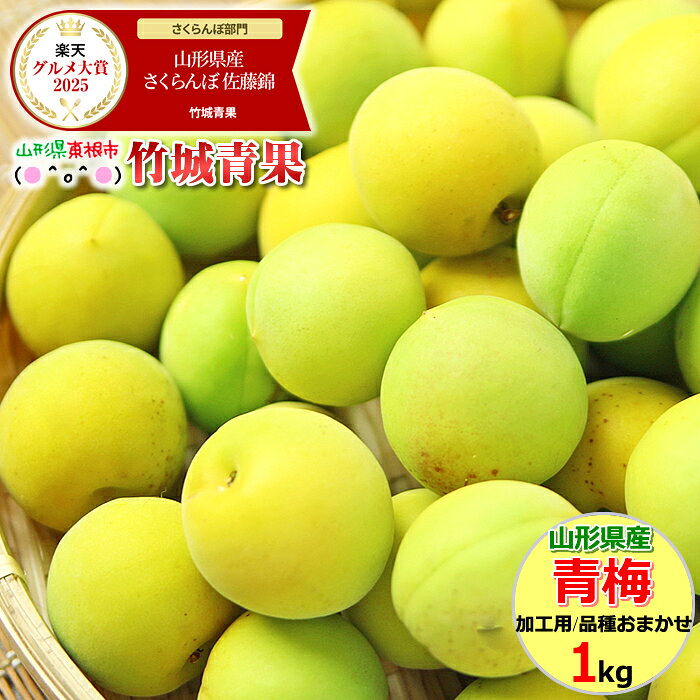 ■クール便【順次出荷中！】山形県産 加工用 青梅 1kg【山形産 青梅 黄梅 生梅 梅 うめ ウメ 梅酒 梅干し 梅ジュース 梅シロップ 梅ジャム 白加賀梅 節田梅 豊後梅 南高梅 産地直送 送料無料 山形県 お取り寄せ 人気 旬 わけあり 訳あり 加工用 手作り】