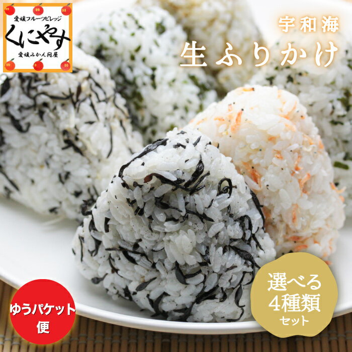 自然の味 選べる 3種類 生ふりかけ 【送料無料】宇和海生ふりかけ 40g×4 選べる3種類 「生ふりかけ40×4」木嶋水産 買いまわり ちりめんわかめ 花えびちりめん ひじきちりめん