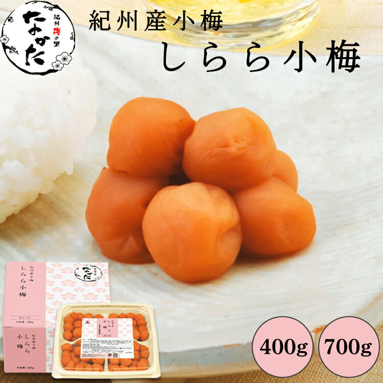 中田食品 しらら小梅 和歌山県産 紀州産小梅 塩分5% 400g / 700g 小梅 梅 梅干 梅干し 梅ぼし 国産 プレゼント ギフト 2026 グルメ お取り寄せ 食べ物 おすすめ 人気 家庭用 数量限定