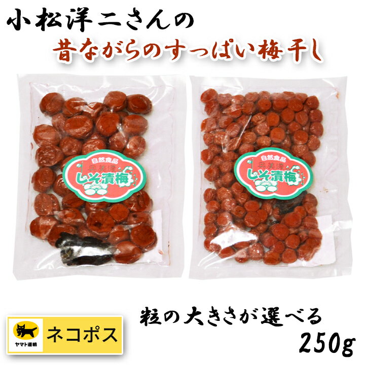 【送料無料・ポスト投函】 小松洋二さんの 無添加 奥美濃 梅干し 250g 自然食品 しそ漬梅 小粒 小梅 郡上 白鳥 発酵食品 買い回り