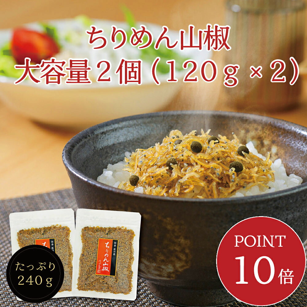 【ポイント10倍・送料無料】ちりめん山椒120g 2個セット【 R 】　大容量 ちりめん山椒 山椒ちりめん 佃煮 おにぎり ふりかけ お弁当 お試し おうちごはん ご飯のお供 おつまみ 酒の肴 プチギフト お米 メール便 送料無料 塩分補給 父の日 ピクニック 手土産 工場直送
