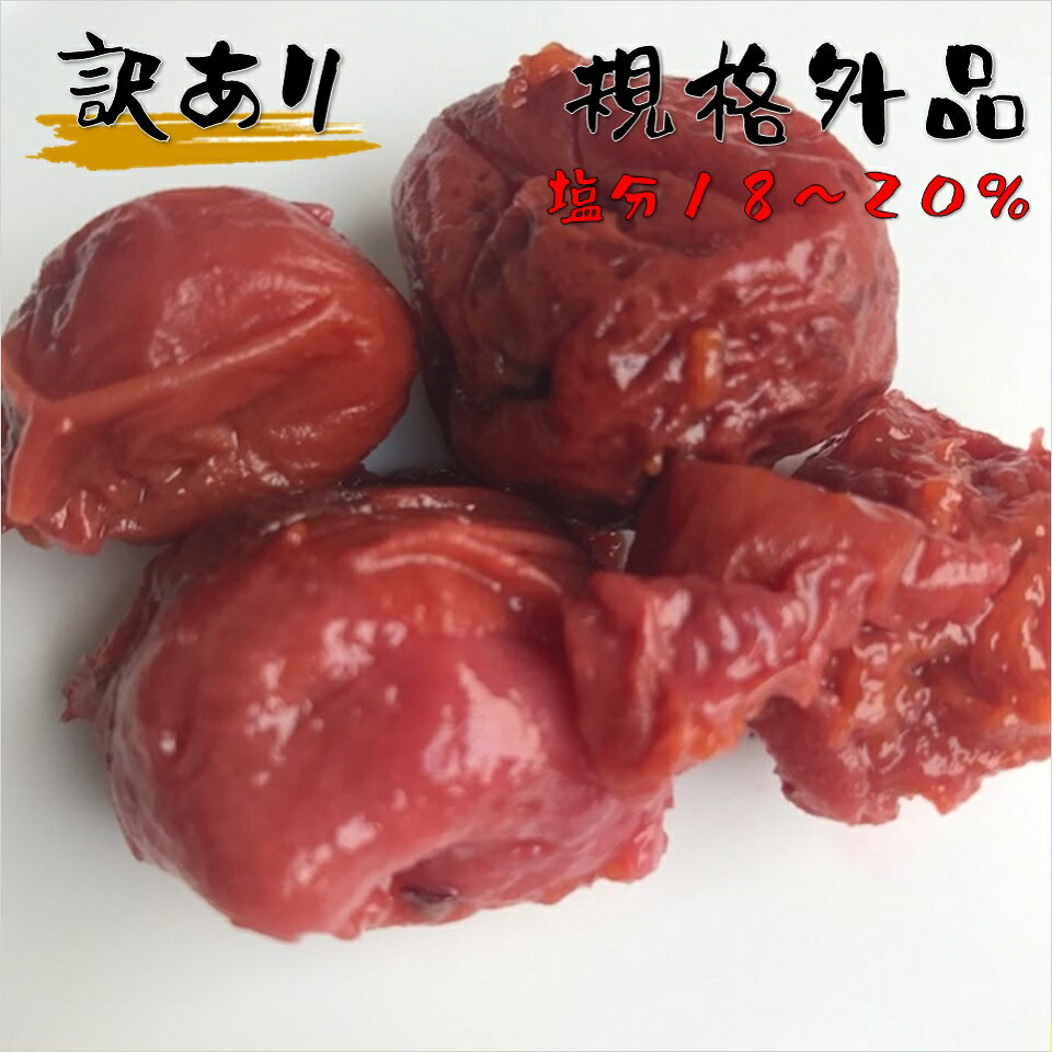 梅干し 訳あり 規格外品 塩分18~20% 福井梅 無添加 すっぱい梅干し 内容量550g