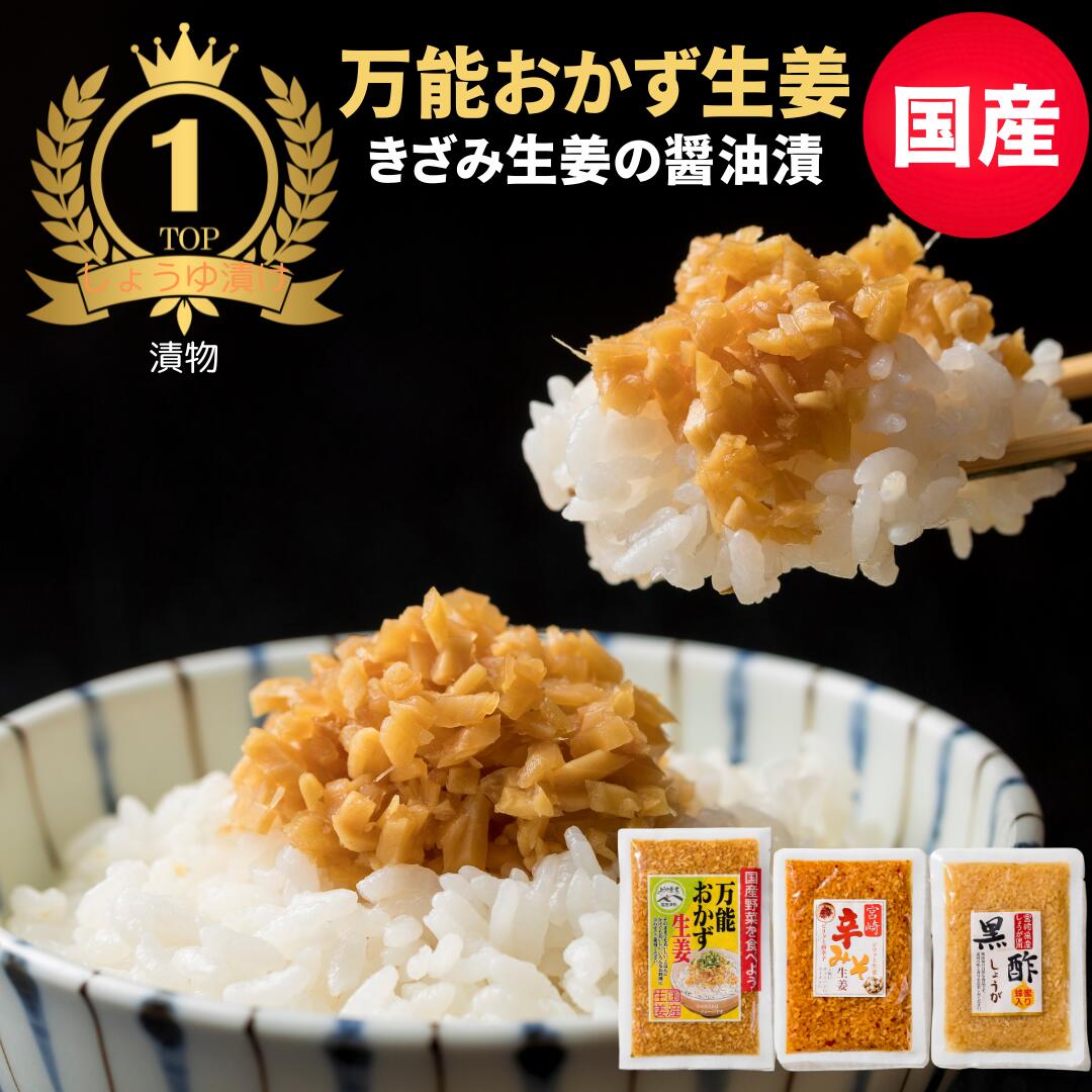 万能おかず生姜（おかずしょうが） しょうが醤油漬け 国産 130g×3袋 きざみしょうが ふりかけ ガリ 送料無料 刻みしょうが 粉末ではない ぶっかけおかずしょうが 刻み生姜 漬物 ポイント消化 ご飯のお供 メール 便