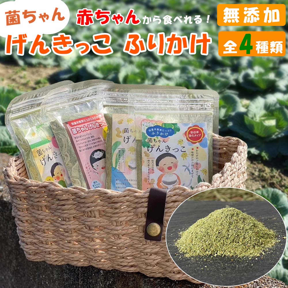 ＼全商品ポイント5倍／ ふりかけ 菌ちゃんげんきっこ 菌ちゃん 元気っこ 無添加 栄養 菌ちゃんファーム 腸活 野菜 子供 無添加 ちょい足し 離乳食 海のミネラル 野菜 発酵力 食材 凝縮 腸内環境