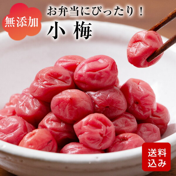 無添加 小梅 お弁当用 梅干し 昔ながらのすっぱい しそ梅干し 小粒 食べきりサイズ 保存料不使用 無着色 九州産 おにぎり メール便