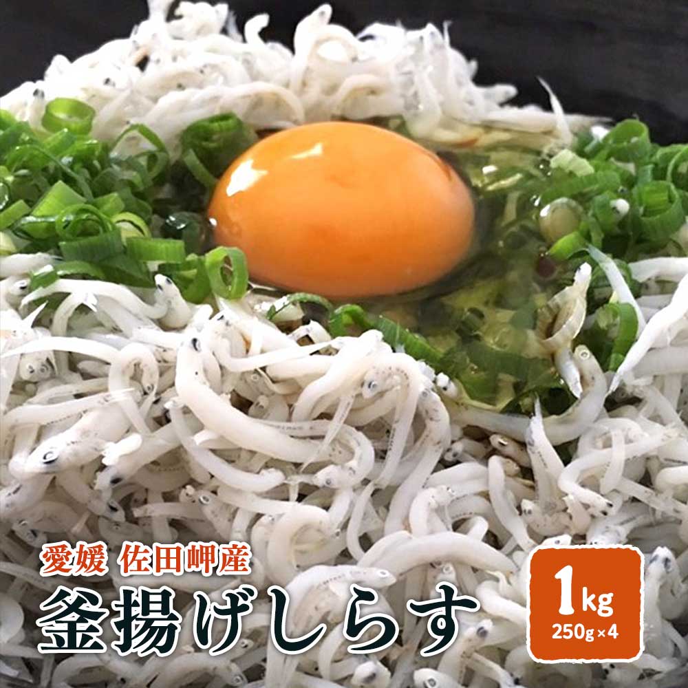 【釜揚げしらす 1kg】（250g×4p）冷蔵便 愛媛 佐田岬産 浜から直送 送料無料 しらす丼 サラダ かき揚げ チャーハン ピザ ふりかけ オムレツ アヒージョ 離乳食 パスタ シラス ちりめんレシピ 朝獲れ 無添加 宇和海の幸問屋 愛媛百貨店