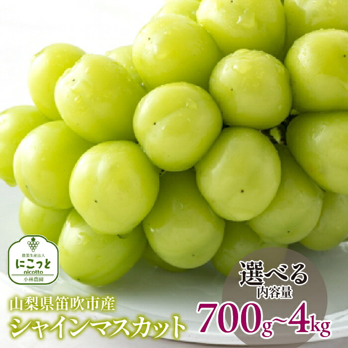 【ふるさと納税】【2026年発送★先行予約】笛吹市産 シャインマスカット【選べる容量 700g〜】 笛吹市 国産シャインマスカット 葡萄 果物 甘い デザート おやつ 山梨県 送料無料 097-004