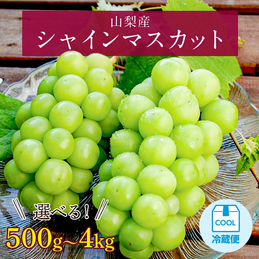 【ふるさと納税】【2026年発送】500g 1kg 2kg 4kgリピート続出!山梨産シャインマスカット1房 ~ 9_フルーツ 果物 くだもの ぶどう 葡萄 マスカット 農家直送 朝採れ ふるさと 【配送不可地域：離島・沖縄県】【G1017347】