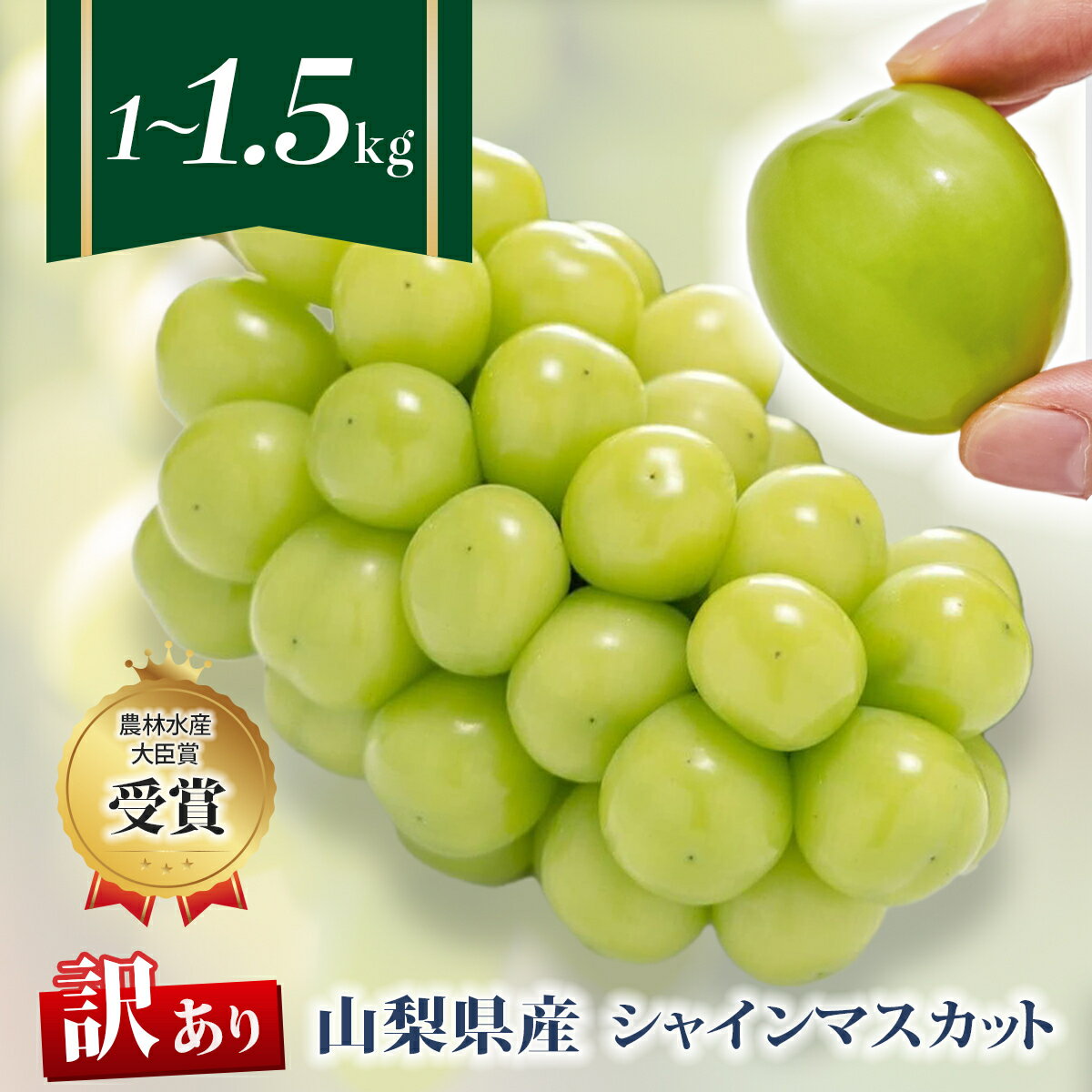 【ふるさと納税】【訳あり】シャインマスカット選べる内容量 1kg～1.5kg(2～4房)_ シャインマスカット 1kg 1.5kg フルーツ 果物 訳アリ 家庭用 ぶどう ブドウ くだもの 人気 マスカット 山梨県 山梨市 【配送不可地域：離島】【G1456435】
