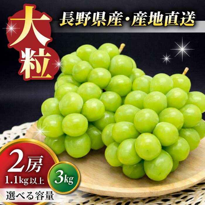 【ふるさと納税】【先行受付2026年発送】★高評価 シャインマスカット2房（1.1kg）/3kg（5〜6房）【9月中旬以降お届け】 東御市ランキング1位！ 長野県 長野 東御 人気 ぶどう 贈答用 ギフト 2房 フルーツ 果物 おすすめ 厳選 種無し 皮ごと 大粒