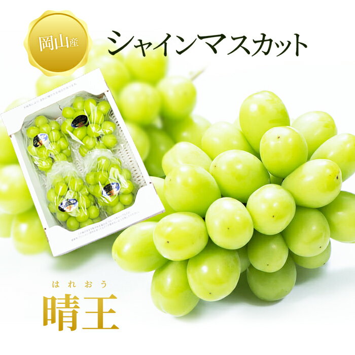 敬老の日 送料無料 岡山産 シャインマスカット晴王 2キロ 訳あり 3-5房 ぶどう ギフト お供え プレゼント 贈り物 お土産 シャインマスカット晴王 家庭用