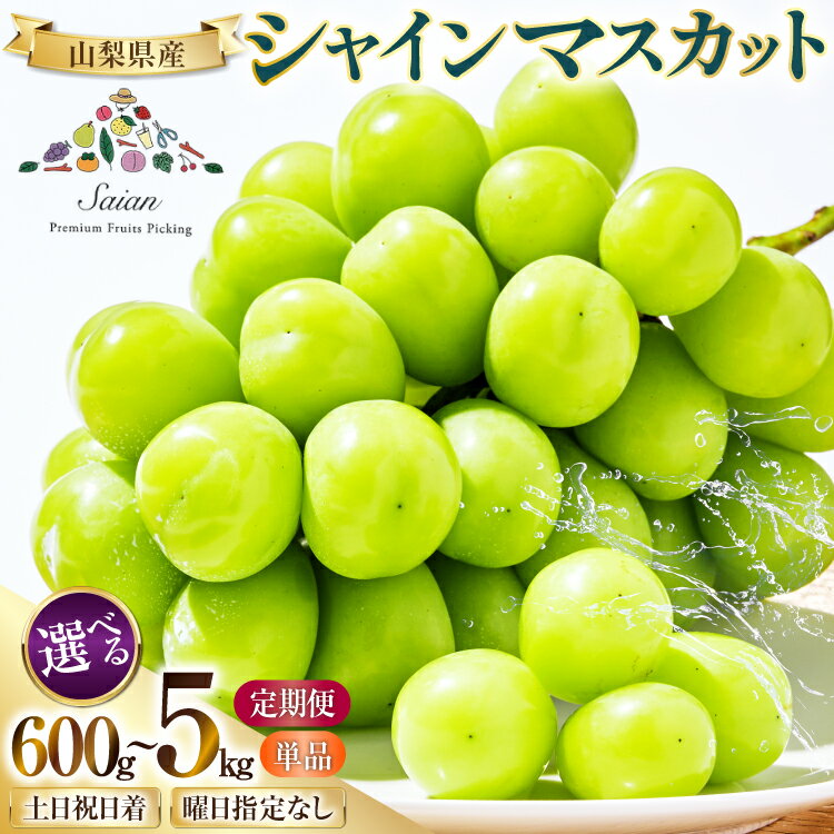 【ふるさと納税】 【2026年発送】 シャインマスカット 山梨 選べる土日着 600g〜5kg 定期便 600g 700g 1.2kg 2kg 2キロ 定期 フルーツ 果物 くだもの マスカット シャイン 山梨 ぶどう ブドウ 葡萄 種無し 先行予約 [斎庵 山梨県 韮崎市 20743909]