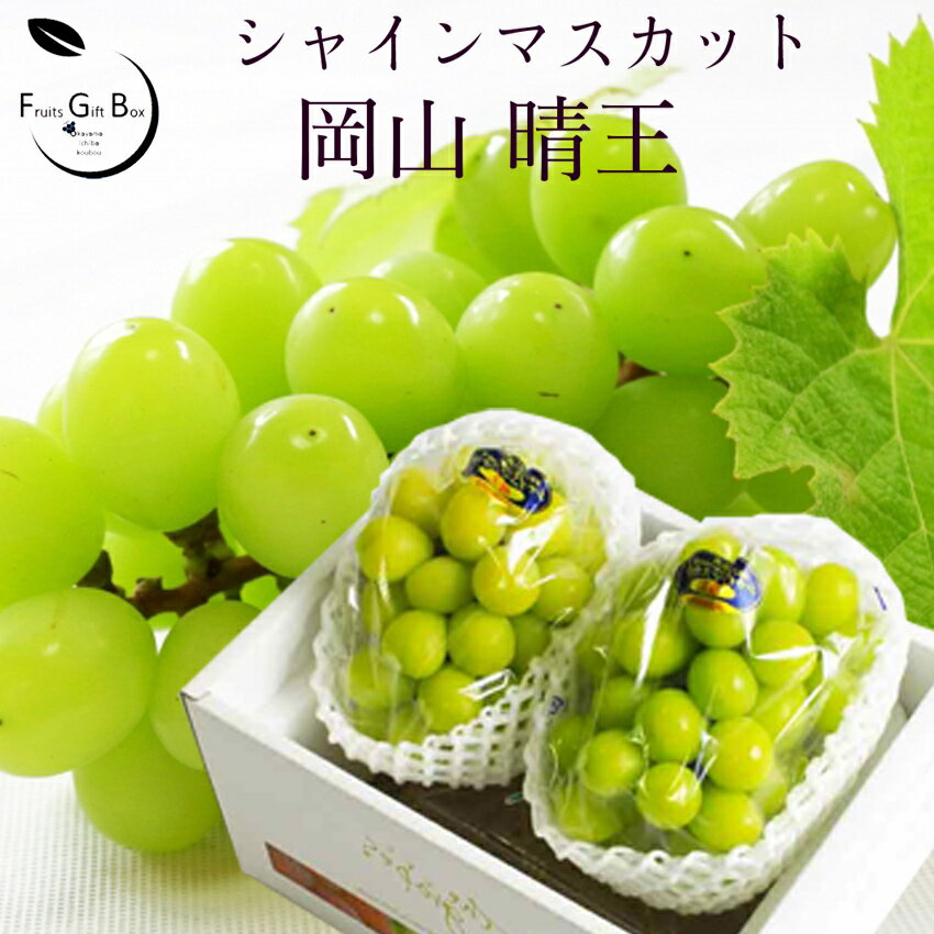 2026 ギフト 岡山県産 シャインマスカット 晴王 赤秀品 2房 (800g-1.1kg) 贈答用 御中元 御歳暮 敬老の日 葡萄 ぶどう ブドウ プレゼント 御礼 御祝 御供 果物 くだもの フルーツ 【岡山果物工房】楽天グルメ大賞