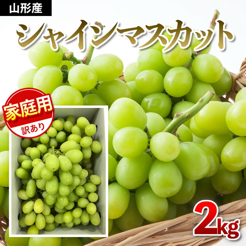 【ふるさと納税】【ご家庭用】シャインマスカット 2kg入り 1箱【令和8年産先行予約】FU21-645くだもの 果物 フルーツ 山形 山形県 山形市 お取り寄せ 先行予約 2026年産
