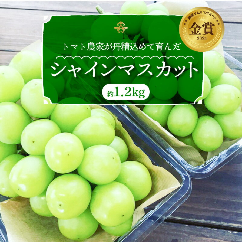 【ふるさと納税】高評価☆4.9 シャインマスカット 約1.2kg 2房 先行予約 数量限定 ランキング2位 果物 夏 フルーツ マスカット ジューシー ぶどう 国産 おやつ デザート 甘い 新鮮 季節 旬 体験 冷蔵 お取り寄せ お取り寄せフルーツ 愛知県 碧南市 長田農園 送料無料