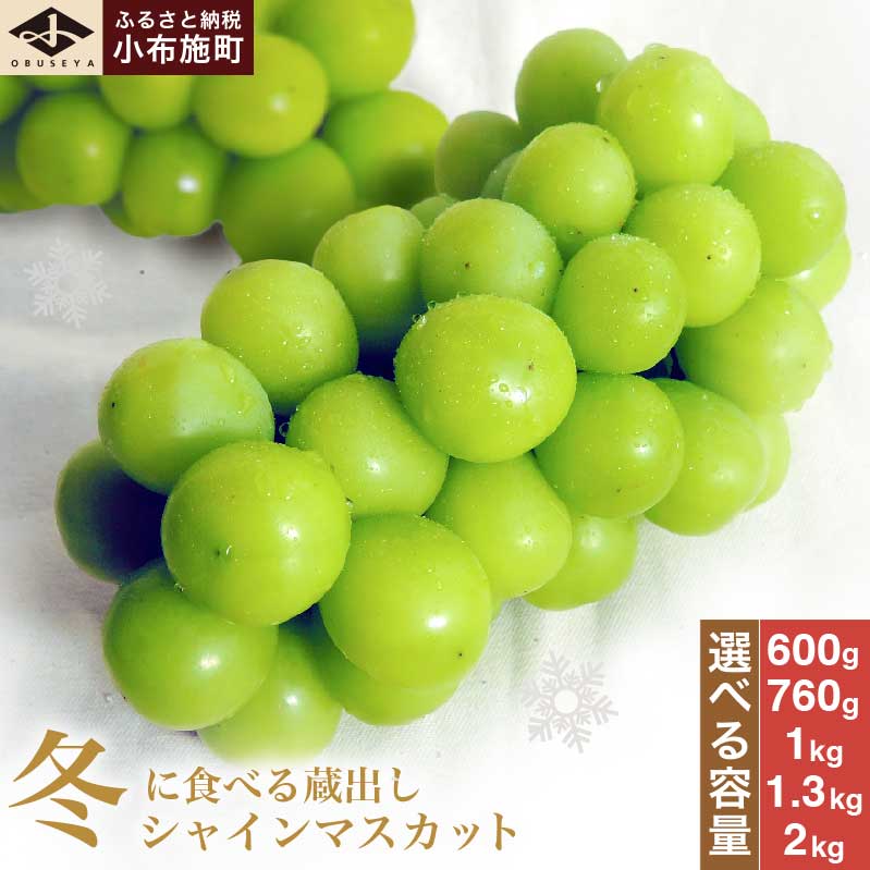 【ふるさと納税】先行受付 蔵出し冬のシャインマスカット 選べる 約600g 約760g 約1kg 約1.3kg 約2kg ［小布施屋］ぶどう フルーツ 果物 くだもの 長野県 冷蔵便 クール便 産地直送 令和8年産【2026年11月中旬～2027年2月発送】
