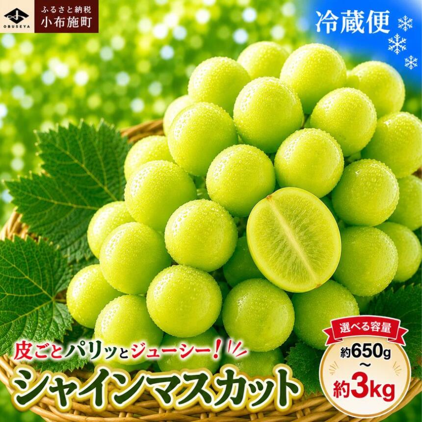 【ふるさと納税】先行受付 シャインマスカット 約650g 約1.1kg 約1.4kg 約2kg 約3kg 選べる内容量［小布施屋］ | フルーツ 果物 くだもの ぶどう 葡萄 ブドウ 数量限定 クール便配送 長野県産 小布施 産地直送 2026年発送 令和8年産 【2026年9月下旬頃～11月上旬に順次発送】