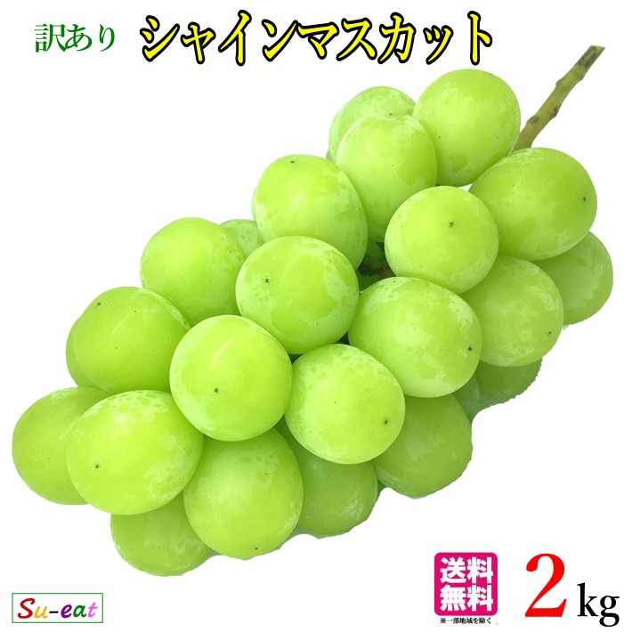 9月中旬〜下旬　訳あり　シャインマスカット ぶどう 長野県産 2キロ