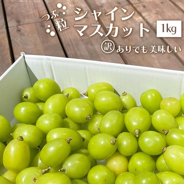 【ふるさと納税】【2026年発送★先行予約】訳あり！ シャインマスカット 粒【えらべる1kg・2kg】 ※クール便 | 種なしぶどう 山梨県 笛吹市 フルーツ 果物 期間限定 ぶどう 葡萄 旬 人気 ランキング コスパ 粒が大きい 甘い 美味しい 数量限定 154-033