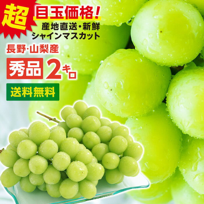 【送料無料】シャインマスカット 約2kg 秀品 ギフト 送料無料 産地厳選 山梨 長野産 一房あたり約500g 3～5房 ぶどう 産地厳選 皮ごと食べられる 大人気ブドウ 種なし | マスカット 高糖度 シャイン ブドウ フルーツ 果物 甘い のし ギフト プレゼント 贈答 旬の味覚 2026