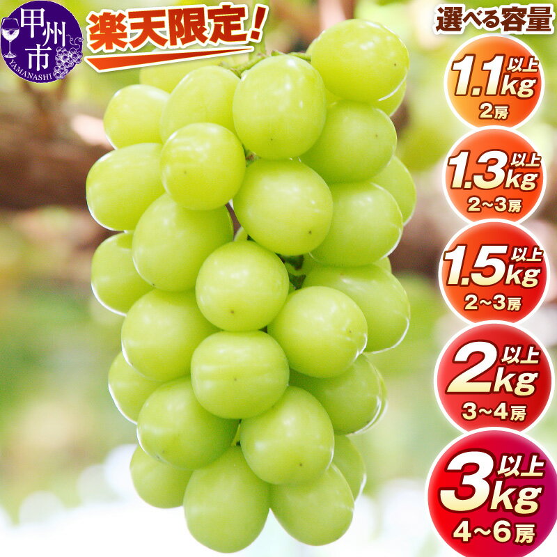 【ふるさと納税】 楽天限定 ＼ 1.1kg 10000円 ／ 高評価 1.3kg 1.5kg 2kg 3kg シャインマスカット 2〜6房 フルーツ 果物 大粒 ぶどう くだもの 葡萄 採れたて 期間限定 新鮮 人気 おすすめ ギフト 贈答 山梨 甲州市 社員マスカット 2026年 先行予約 まずはお試し （HO）
