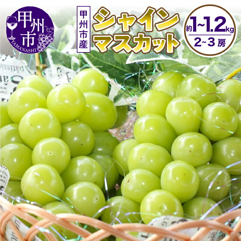 【ふるさと納税】 シャインマスカット 2026年 先行予約 選べる 内容量 約1kg 約1.1kg 約1.2kg 8月 9月 10月 発送 2〜3房 果物 スイートエメラルド 期間限定 高評価 ランキング 人気 おすすめ 山梨 甲州市 葡萄 ぶどう ブドウ フルーツ 山梨県 甲州市 社員マスカット （UD）