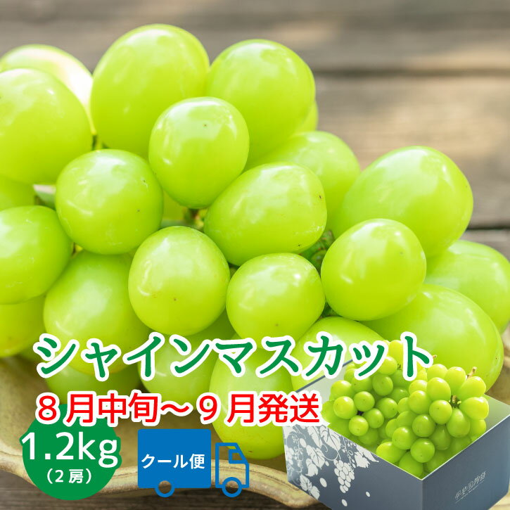 シャインマスカット 【2026年発送】 山梨 2房 1.2kg 先行予約 9月 高級 ギフト 冷蔵便 化粧箱入り 贈答 自分へのご褒美 期間限定 【2026年8月下旬頃～10月上旬頃まで順次発送】 ブドウ フルーツ 果物