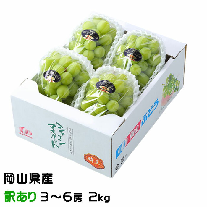 お中元 ぶどう シャインマスカット晴王 風のいたずら ちょっと訳あり 3〜6房 2kg 岡山県産 葡萄 ブドウ ギフト お取り寄せ