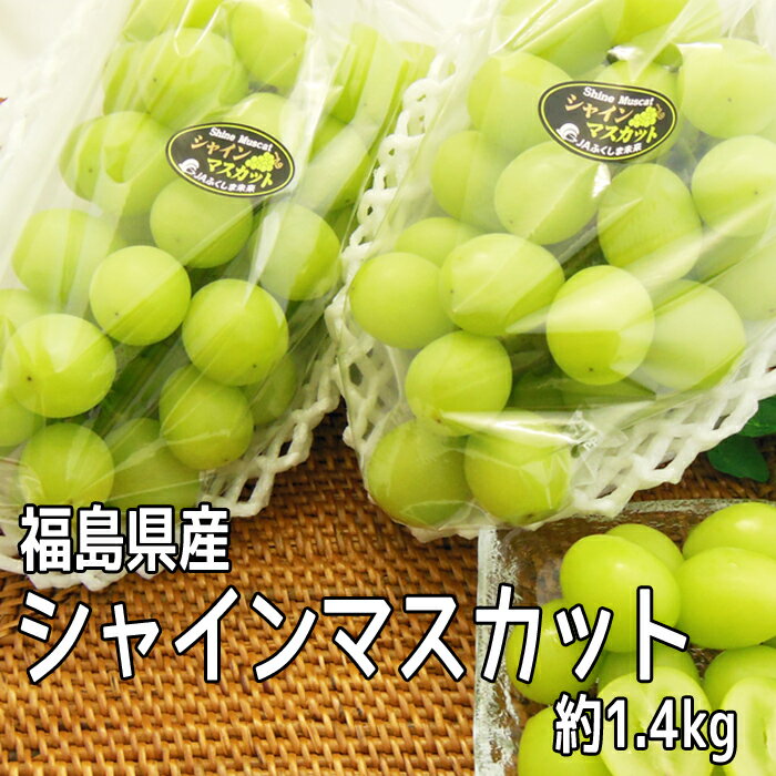 シャインマスカット 約1.4kg（2〜4房入）【発送時期:9月上旬頃-11月初旬頃まで予定】福島県産 ぶどう ブドウ マスカット フルーツ 果物 ギフト プレゼント 送料無料 御祝 内祝 手土産 高級 お取り寄せ グルメ